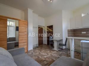 Pronájem bytu 1+kk, Teplice, Jankovcova, 16 m2