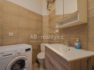 Pronájem bytu 1+kk, Teplice, Jankovcova, 16 m2