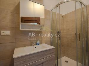 Pronájem bytu 1+kk, Teplice, Jankovcova, 16 m2
