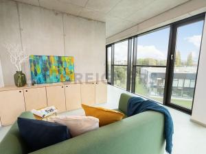 Pronájem bytu 2+kk, Brno, Dornych, 50 m2