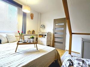 Prodej bytu 3+1, České Budějovice, Dlouhá, 78 m2