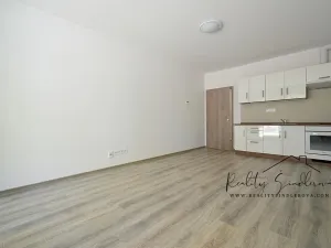 Pronájem bytu 1+kk, Olomouc, Frištenského, 32 m2