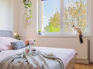 Prodej bytu 4+1, Dolní Dvořiště, 68 m2