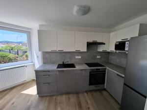 Pronájem bytu 1+1, Brno - Žabovřesky, Šmejkalova, 42 m2