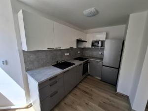 Pronájem bytu 1+1, Brno - Žabovřesky, Šmejkalova, 42 m2
