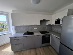 Pronájem bytu 1+1, Brno - Žabovřesky, Šmejkalova, 42 m2