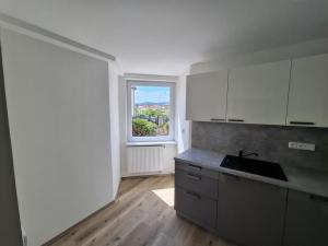 Pronájem bytu 1+1, Brno - Žabovřesky, Šmejkalova, 42 m2