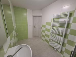Pronájem bytu 1+1, Brno - Žabovřesky, Šmejkalova, 42 m2
