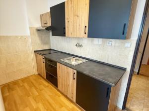 Pronájem bytu 1+kk, Štěnovice, 40 m2