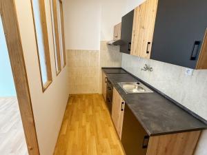 Pronájem bytu 1+kk, Štěnovice, 40 m2