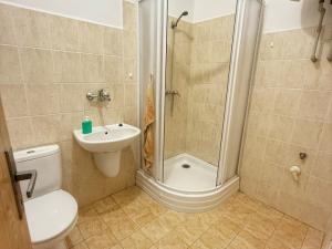 Pronájem bytu 1+kk, Štěnovice, 40 m2