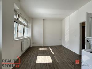 Pronájem bytu 1+kk, Brno - Brno-město, Jánská, 27 m2