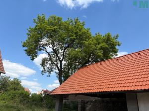 Prodej zemědělské usedlosti, Budišov, 1100 m2