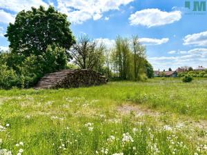 Prodej zemědělské usedlosti, Budišov, 1100 m2