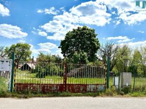 Prodej zemědělské usedlosti, Budišov, 1100 m2