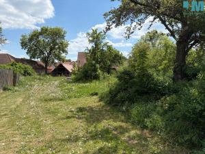 Prodej zemědělské usedlosti, Budišov, 1100 m2