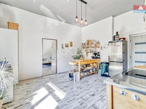 Prodej rodinného domu, Měcholupy - Želeč, 250 m2