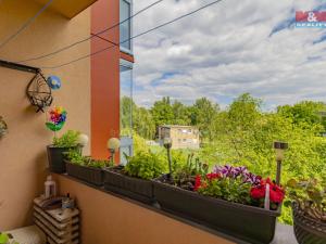 Prodej bytu 2+1, Ostrava - Zábřeh, Průkopnická, 54 m2