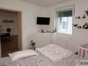 Prodej bytu 3+1, Prostějov, Mlýnská, 102 m2