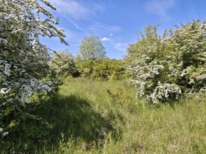 Prodej pozemku pro bydlení, Chýně, 1240 m2