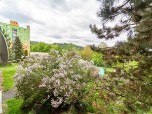 Prodej bytu 3+1, Planá, Fučíkova, 70 m2