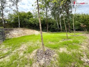 Pronájem zahrady, Kralupy nad Vltavou, Lutovítova, 250 m2