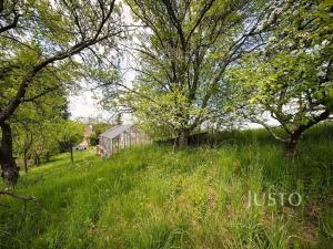 Prodej chaty, Kosov, 70 m2
