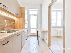 Pronájem bytu 2+1, Brno, Cejl, 61 m2