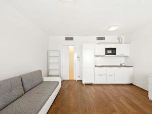 Pronájem bytu 1+kk, Praha - Žižkov, Olšanská, 34 m2