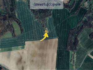 Prodej lesa, Ronov nad Doubravou, 1294 m2