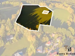 Prodej louky, Vítkovice, 50855 m2