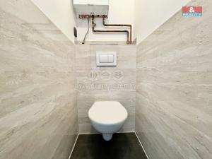 Pronájem bytu 2+1, Červená Voda, 55 m2