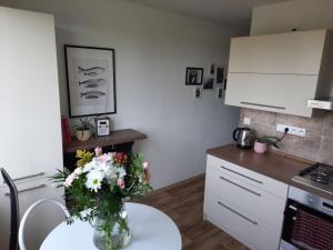 Pronájem bytu 2+1, České Budějovice - České Budějovice 3, Plzeňská, 62 m2