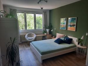 Pronájem bytu 2+1, České Budějovice - České Budějovice 3, Plzeňská, 62 m2