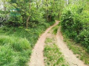 Prodej chaty, Nebovidy, 40 m2