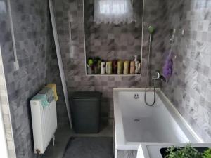 Prodej činžovního domu, Krupka - Bohosudov, Dlouhá, 332 m2