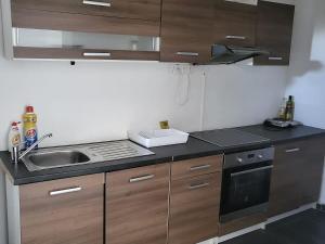 Prodej činžovního domu, Krupka - Bohosudov, Dlouhá, 332 m2
