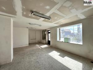 Prodej činžovního domu, Krupka - Bohosudov, Dlouhá, 332 m2