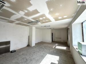 Prodej činžovního domu, Krupka - Bohosudov, Dlouhá, 332 m2