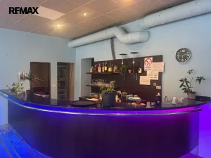 Pronájem obchodního prostoru, Napajedla, 100 m2