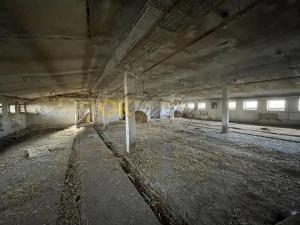 Dražba zemědělského objektu, Srnojedy, Stodolní, 1500 m2