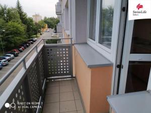 Pronájem bytu 1+kk, Pardubice, Jiřího Tomana, 28 m2
