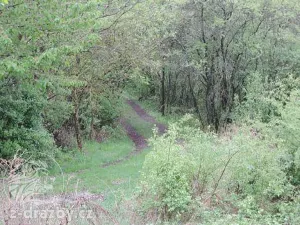 Dražba pozemku, Medonosy, 9062 m2