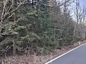 Prodej lesa, Dačice, 14057 m2