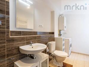 Prodej apartmánu, Velké Losiny, Rudé armády, 384 m2