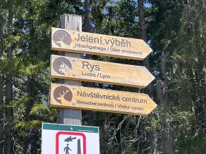 Prodej restaurace, Kvilda, 408 m2