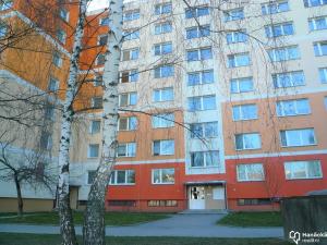 Pronájem bytu 2+1, Olomouc, Rooseveltova, 44 m2