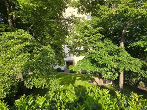 Prodej bytu 1+kk, Praha - Braník, Branická, 20 m2