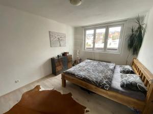 Pronájem bytu 2+1, Kvilda, 52 m2