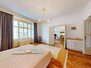 Pronájem bytu 2+1, Praha - Nové Město, Růžová, 104 m2